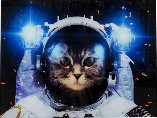 Картина на стекле Cat in Space 80x60 52595 в Киеве купить kare-design мебель свет декор