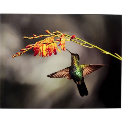 Картина на стекле Cute Colibri 70x90 53088 в Киеве купить kare-design мебель свет декор
