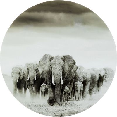 Картина на стекле Elephant Walk d:120cm 54576 в Киеве купить kare-design мебель свет декор