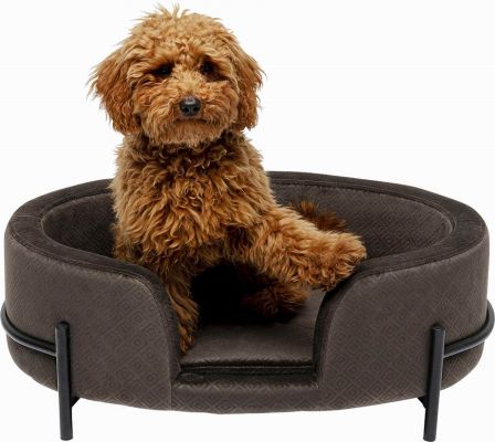 Диванчик для собак Dog/Cat Bed Dream Day Grey 86369 в Киеве купить kare-design мебель свет декор