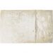 Ковер Abstract Beige 240x170cm