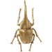 Настенный декор Herkules Beetle Gold 41 см