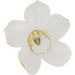 Украшение настенное Orchid White 44cm