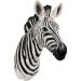 Фігура настенная Zebra 33x78cm