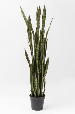 Искуственное растение Sansewieria 155 см. 60718 в Киеве купить kare-design мебель свет декор
