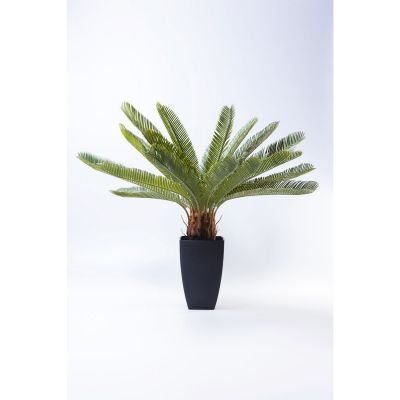 Искукственное растение Cycas Tree 78cm 61200 в Киеве купить kare-design мебель свет декор