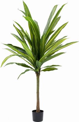 Искуственое растение Dracaena 180 cm. 53072 в Киеве купить kare-design мебель свет декор