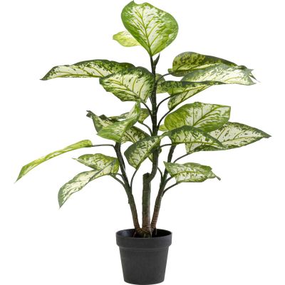 Искуственное растение Dieffenbachie 100cm 55912 в Киеве купить kare-design мебель свет декор