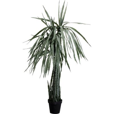 Декоративное растение Dragon Tree 155cm 55916 в Киеве купить kare-design мебель свет декор