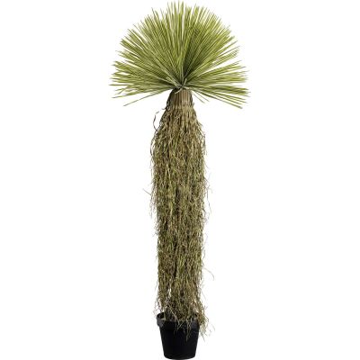 Декоративное растение Yucca 180cm 55919 в Киеве купить kare-design мебель свет декор