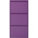 Шкаф для обуви Caruso 3 Purple (MO)