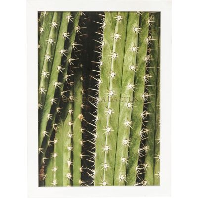 Арт-табличка в рамке Cactus 45x33cm 60385 в Киеве купить kare-design мебель свет декор