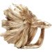 Статуэтка Betta Fish Gold Small 37см.