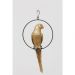Фигурка подвесная Swinging Parrot Gold 88см.