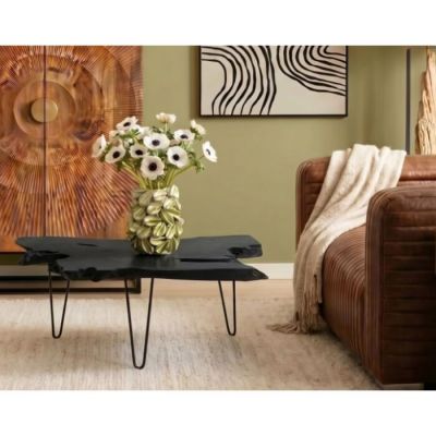 Столик журнальний фігурний KARE DESIGN Aspen, 100х40 см, (чорний) 85272 у Києві купити kare-design меблі світло декор