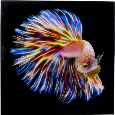 Картина на стекле Electric Betta Fish 100x100 53081 в Киеве купить kare-design мебель свет декор