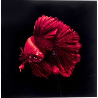 Картина на стекле Betta Fish Fire 100x100 53085 в Киеве купить kare-design мебель свет декор