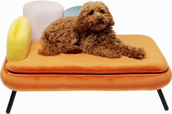 Диванчик для собаки Dog/Cat Bed Diva Orange 86370 у Києві купити kare-design меблі світло декор