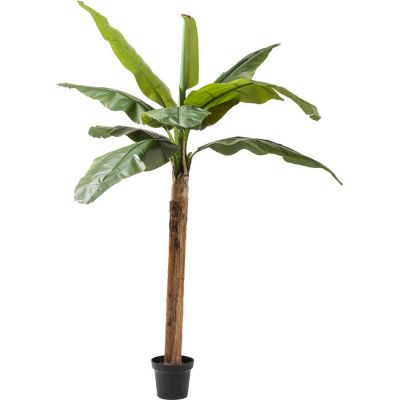 Штучна рослина KARE DESIGN Banana Tree, 190 см, (зелений) 60722 у Києві купити kare-design меблі світло декор