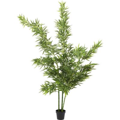 Штучна рослина KARE DESIGN Bamboo Tree, 200 см, (зелений) 64002 у Києві купити kare-design меблі світло декор