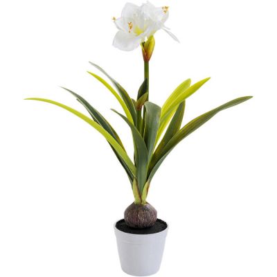 Штучна рослина KARE DESIGN Amaryllis, 78 см, (зелений) 51681 у Києві купити kare-design меблі світло декор