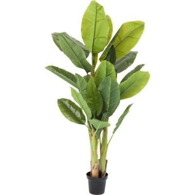 Штучна рослина KARE DESIGN Banana Tree, 180 см, (зелений) 64003 у Києві купити kare-design меблі світло декор