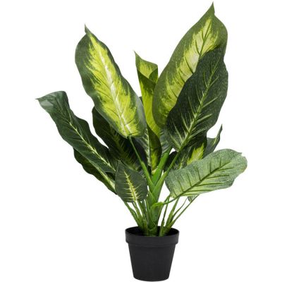Штучна рослина KARE DESIGN Dieffenbachia, 50 см, (зелений) 51680 у Києві купити kare-design меблі світло декор