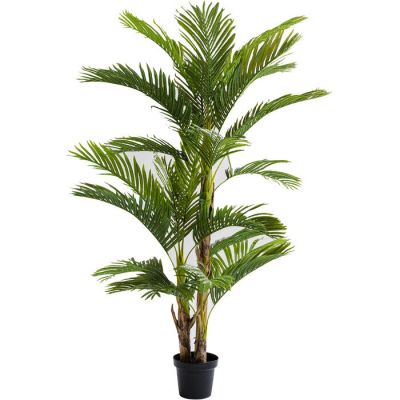 Штучна рослина KARE DESIGN Palm Tree, 190 см, (зелений) 51789 у Києві купити kare-design меблі світло декор