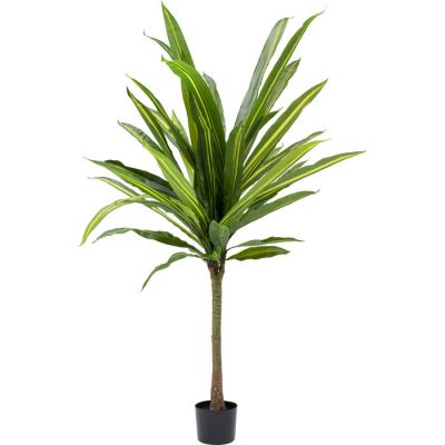 Штучна рослина KARE DESIGN Dracaena, 180 см, (зелений) 53072 у Києві купити kare-design меблі світло декор