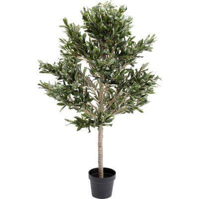 Штучна рослина KARE DESIGN Olive Tree, 120 см, (зелений) 54933 у Києві купити kare-design меблі світло декор