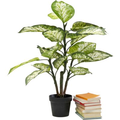 Штучна рослина KARE DESIGN Dieffenbachie, 100 см, (зелений) 55912 у Києві купити kare-design меблі світло декор