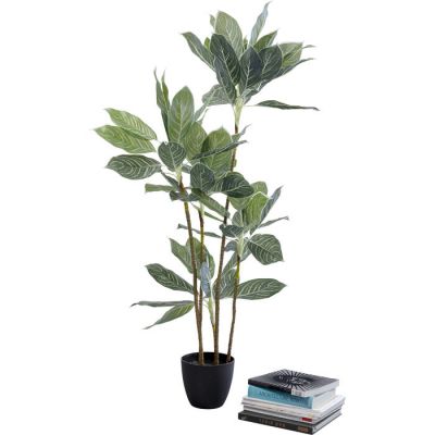 Штучна рослина KARE DESIGN Calathea, 140 см, (зелений) 55914 у Києві купити kare-design меблі світло декор