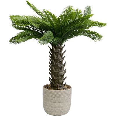 Штучна рослина KARE DESIGN Cycas, 70 см, (зелений) 55918 у Києві купити kare-design меблі світло декор