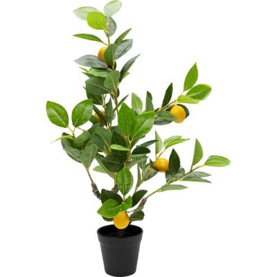 Штучна рослина KARE DESIGN Lemon Tree, 60 см, (зелений) 56764 у Києві купити kare-design меблі світло декор
