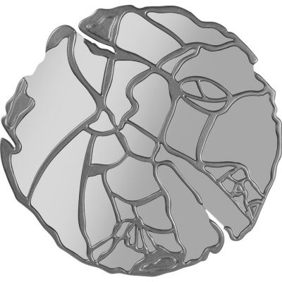 Дзеркало настінне фігурне KARE DESIGN Pieces Silver, d:100, (срібний) 85901 в Киеве купить kare-design мебель свет декор